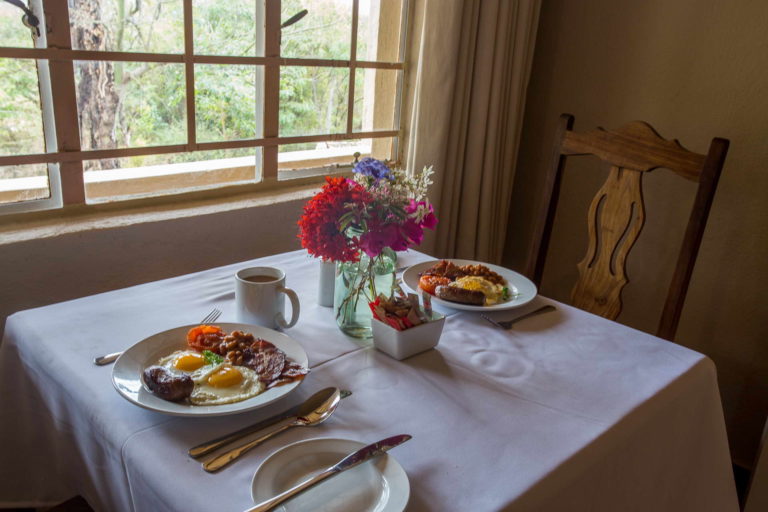 Safari Direct Your 1 tour company in Mpumalanga