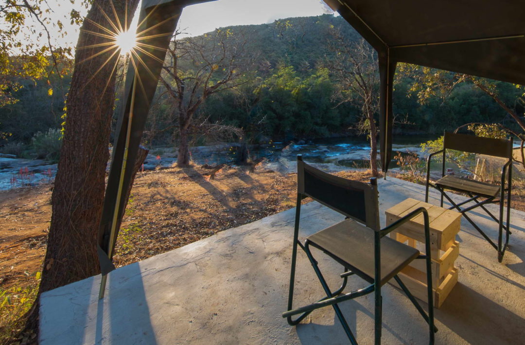 Safari Direct Your 1 tour company in Mpumalanga